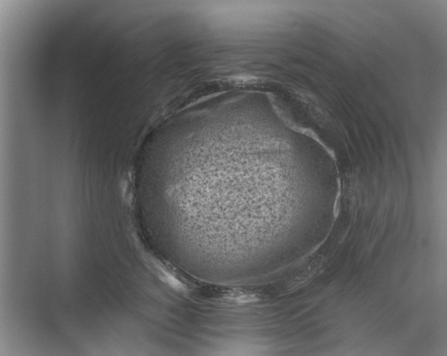 X0000073980760200609051911