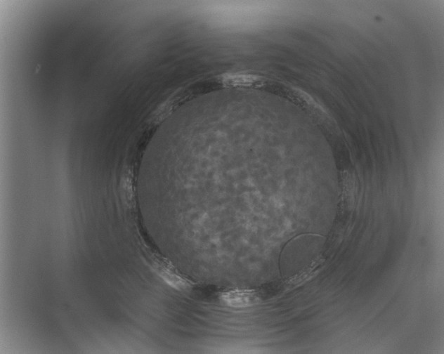 X0000073980761200609051911