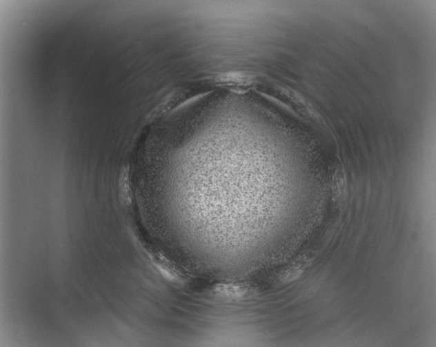 X0000073980764200609051911