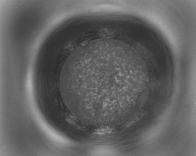 X0000073980765200609051911