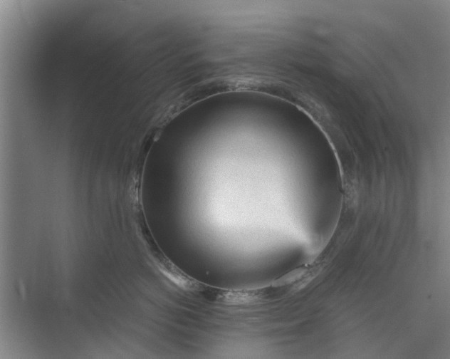 X0000073980766200609051911