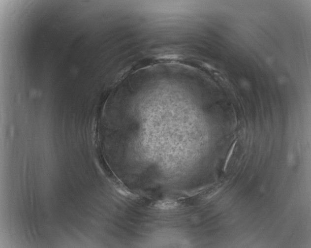 X0000073980767200609051911