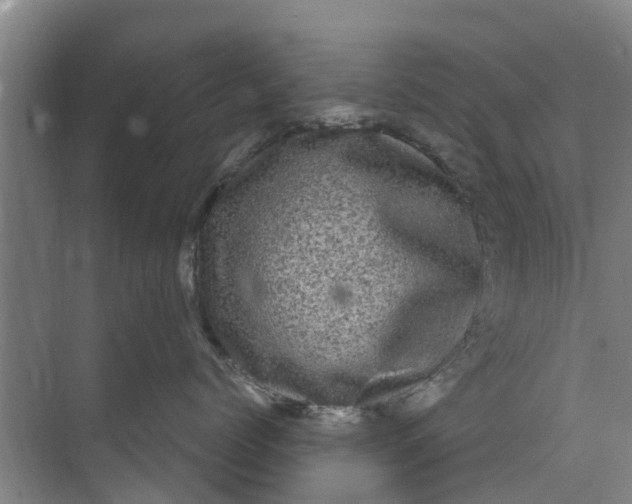 X0000073980768200609051911