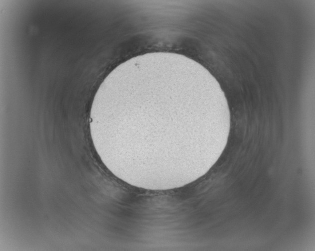 X0000073980769200609051910