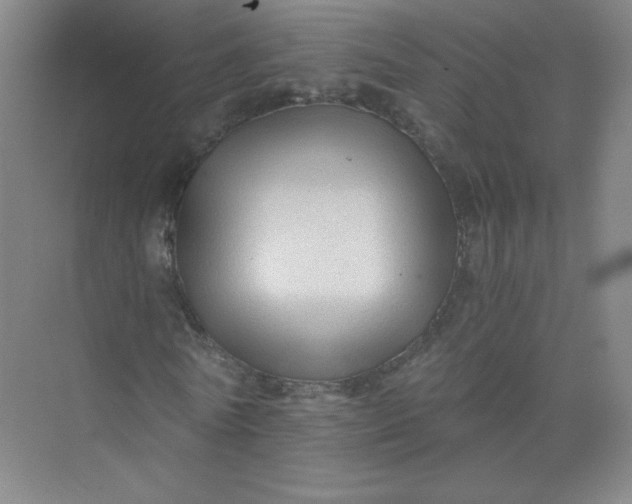 X0000073980770200609051910