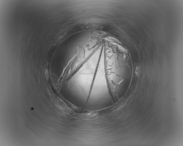 X0000073980771200609051910