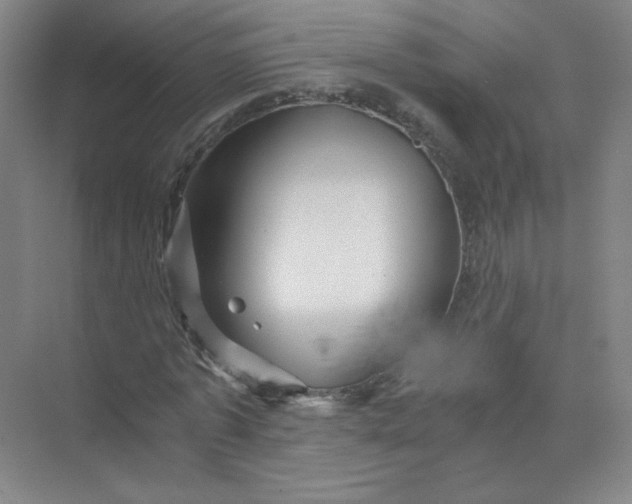 X0000073980773200609051910