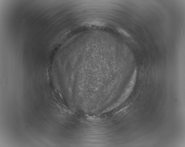 X0000073980774200609051910