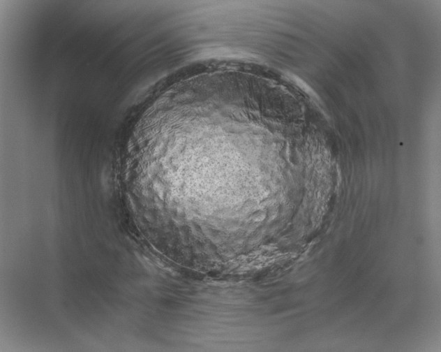 X0000073980775200609051910