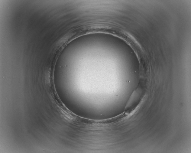 X0000073980777200609051910