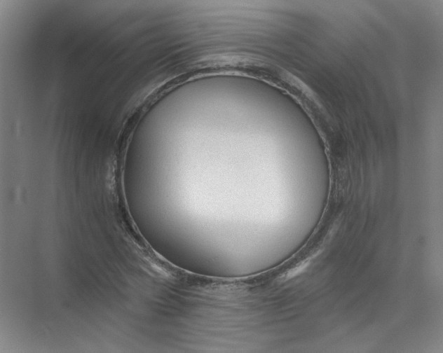 X0000073980778200609051910