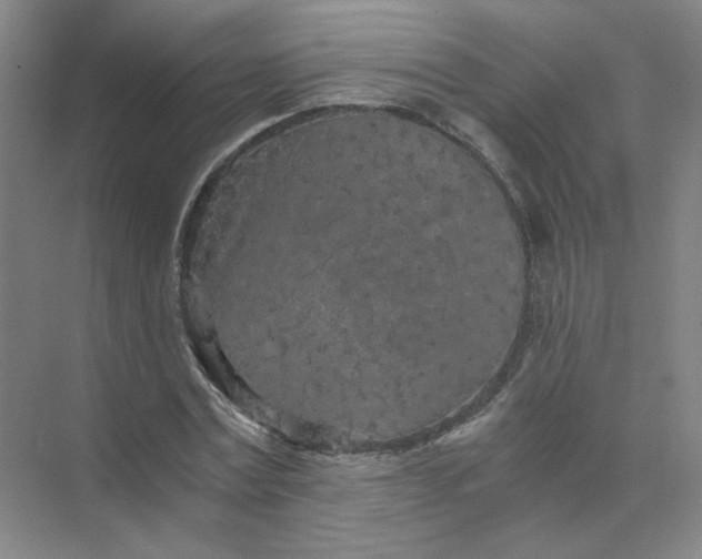 X0000073980779200609051910