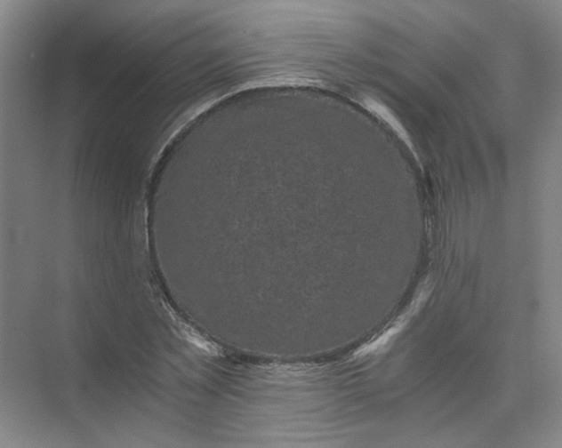 X0000073980781200609051910