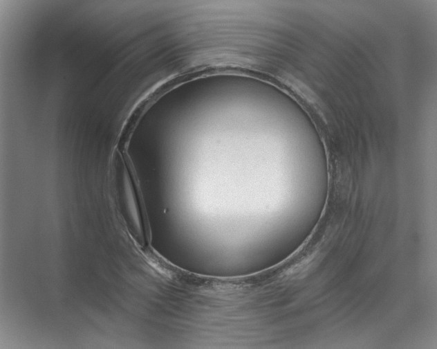 X0000073980782200609051910