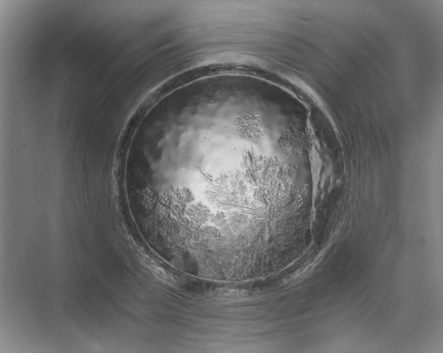 X0000073980783200609051910