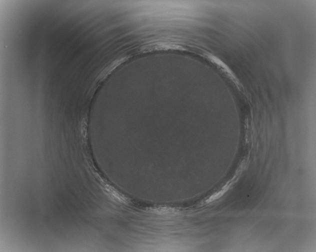 X0000073980785200609051910