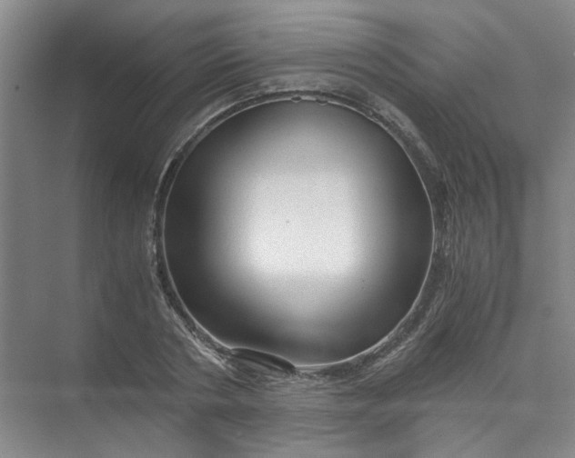 X0000073980786200609051910