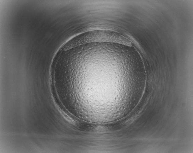 X0000073980787200609051910