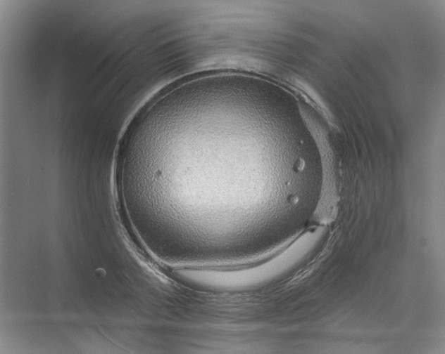 X0000073980788200609051910