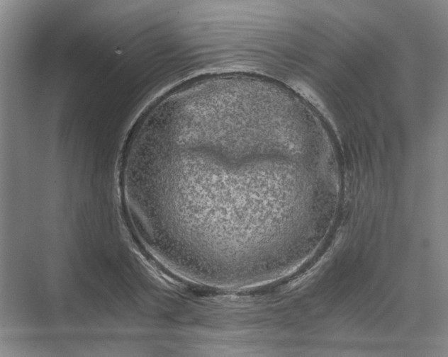 X0000073980789200609051910