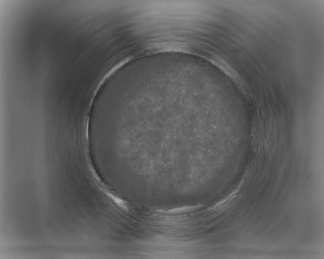 X0000073980790200609051910