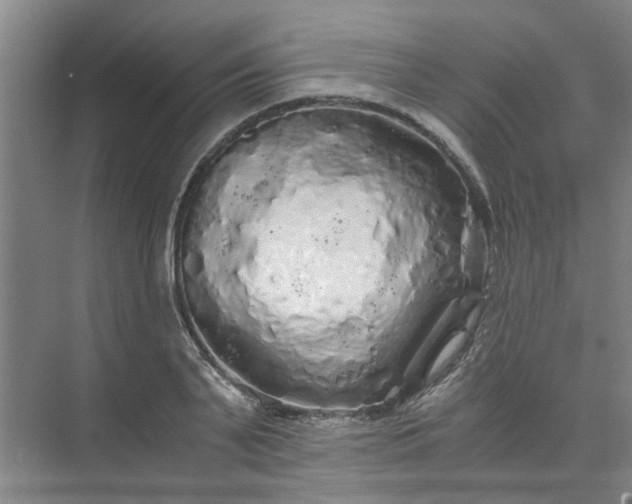 X0000073980791200609051910