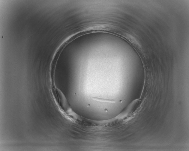 X0000073980792200609051910