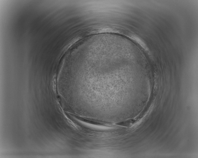 X0000073980793200609051910