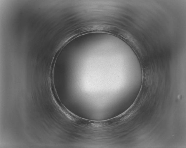 X0000073980794200609051910