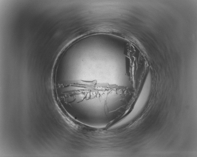 X0000073980795200609051910