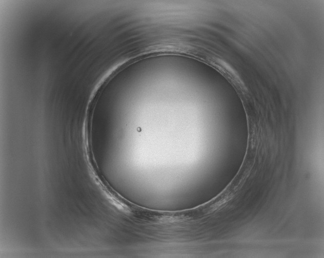 X0000073980796200609051910