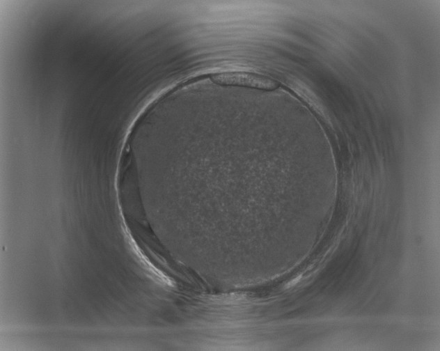 X0000073980797200609051910