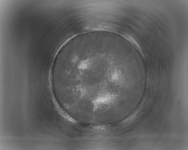 X0000073980798200609051910