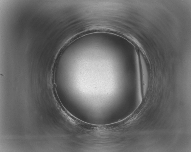 X0000073980799200609051910