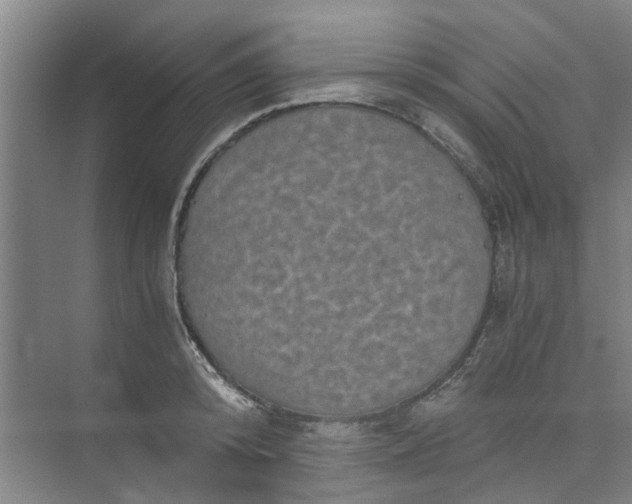 X0000073980800200609051909