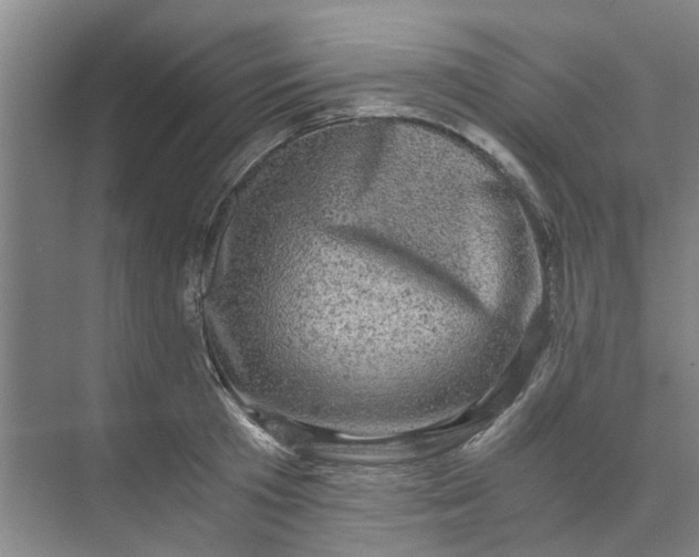 X0000073980801200609051909