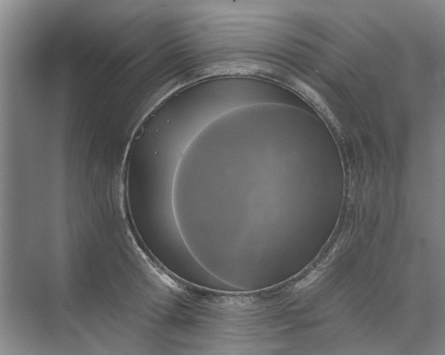 X0000073980802200609051909