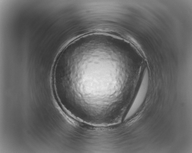 X0000073980803200609051909