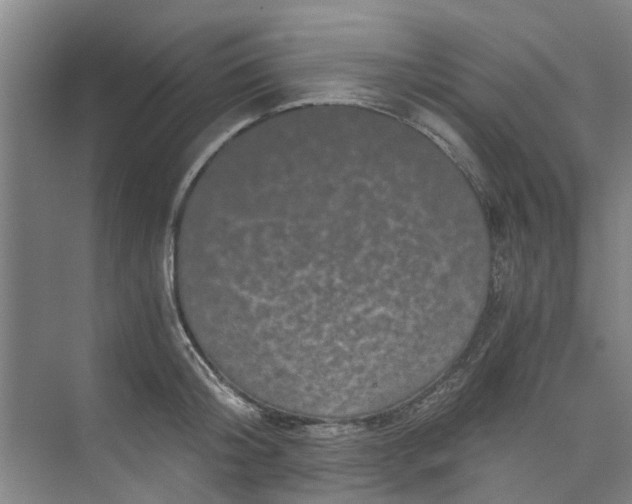 X0000073980804200609051909