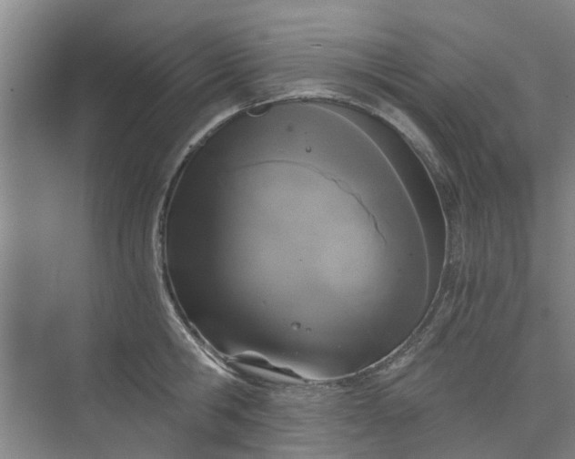 X0000073980806200609051909