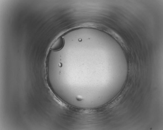 X0000073980808200609051909