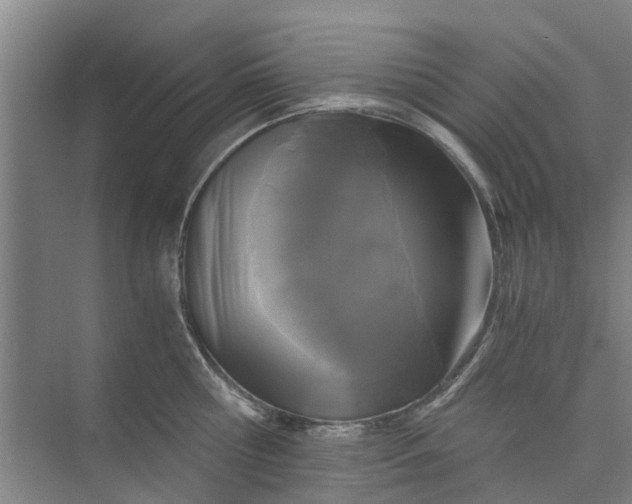 X0000073980810200609051909