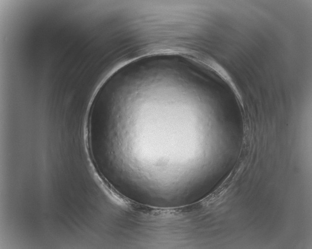 X0000073980811200609051909