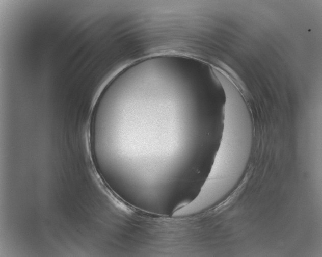 X0000073980812200609051909