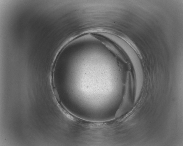 X0000073980813200609051909