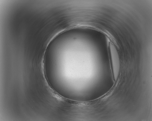 X0000073980814200609051909