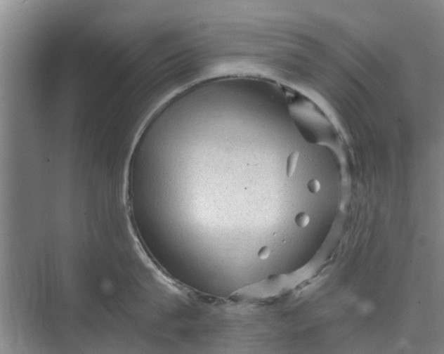 X0000073980815200609051909