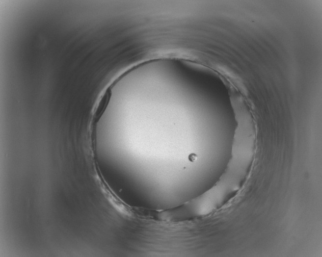 X0000073980816200609051909