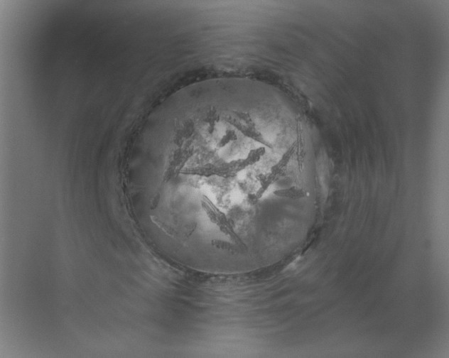 X0000073980817200609051908