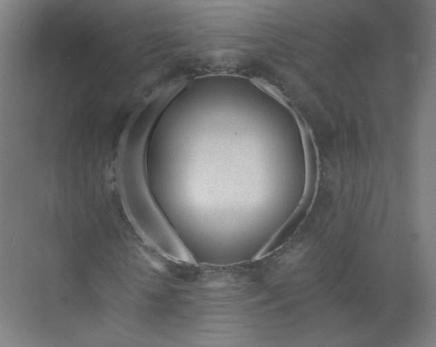 X0000073980818200609051908